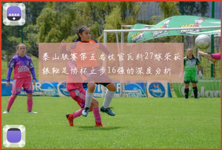 泰山联赛第五名收官瓦科27球荣获银靴足协杯止步16强的深度分析