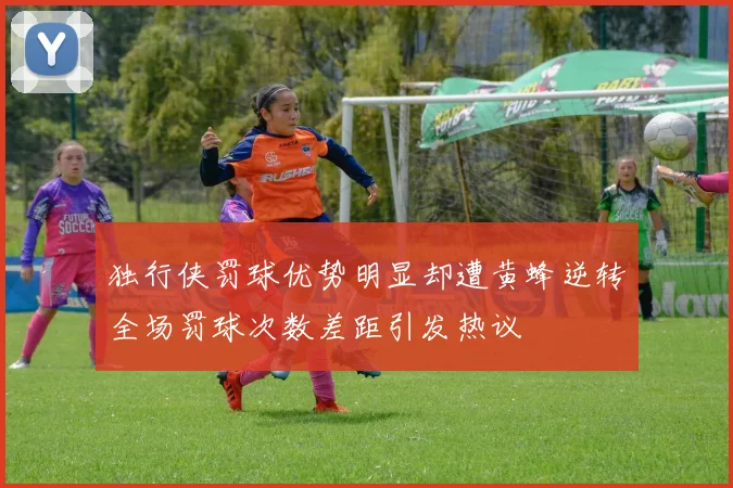 独行侠罚球优势明显却遭黄蜂逆转全场罚球次数差距引发热议